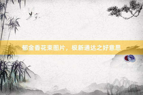 郁金香花束图片，极新通达之好意思